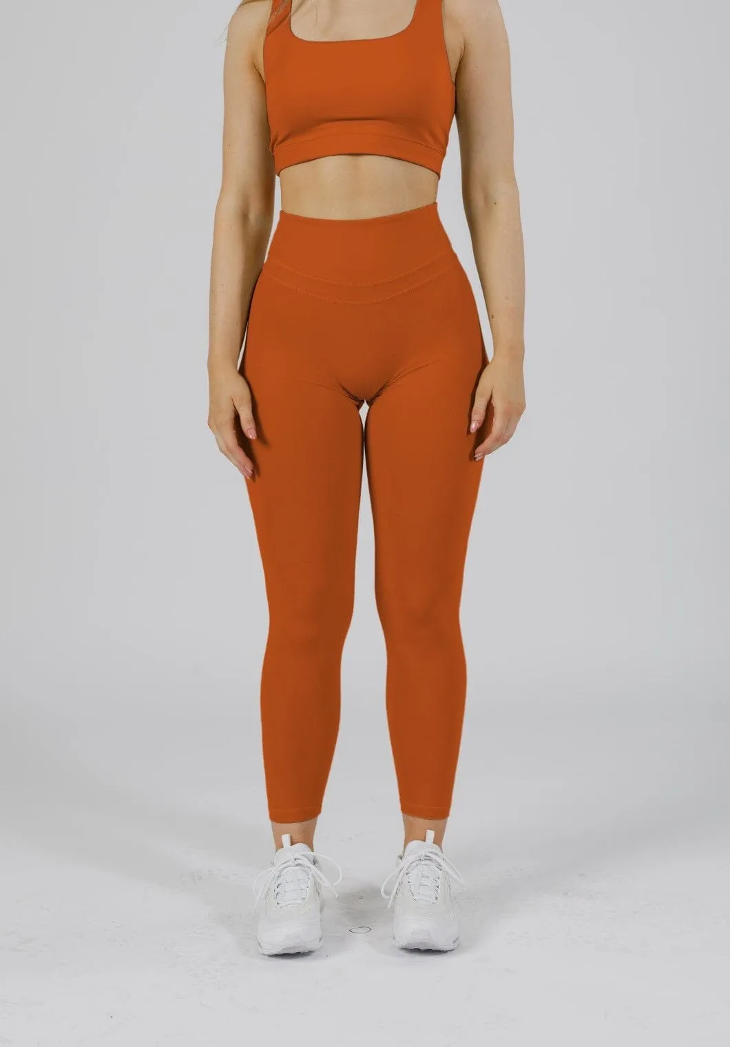 RecStretch? Levitate Sculptseam? Plus Legging Canyonlands