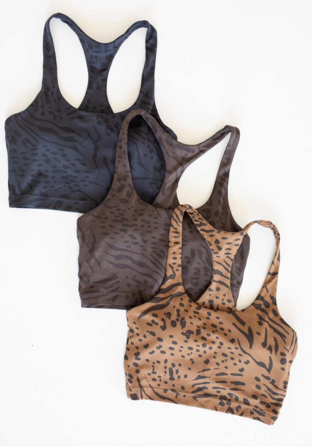 Reluna Legacy Brami Jaguar